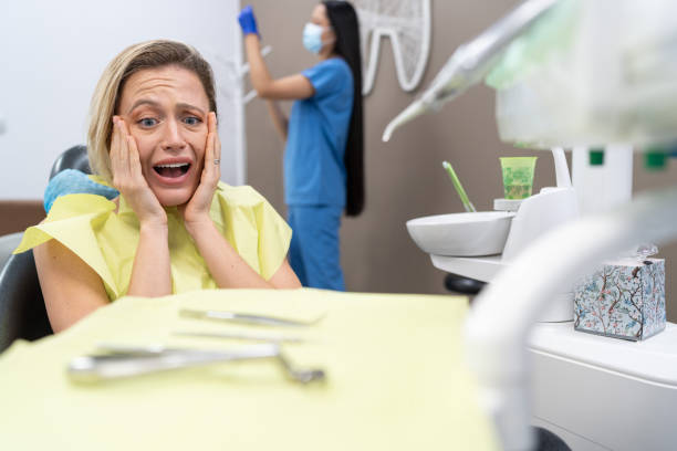Best Weekend Emergency Dentist in Bressler, PA